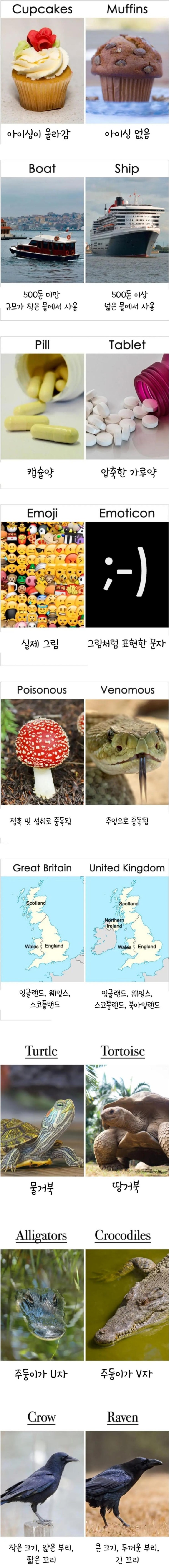 알쏭달쏭 영어