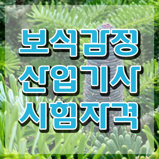  보석감정산업기사 전망 보석감정산업기사 시험응시조건 경력없는 고졸도 온라인 수업만으로 4달 안에 끝낼수 있었던 노하우