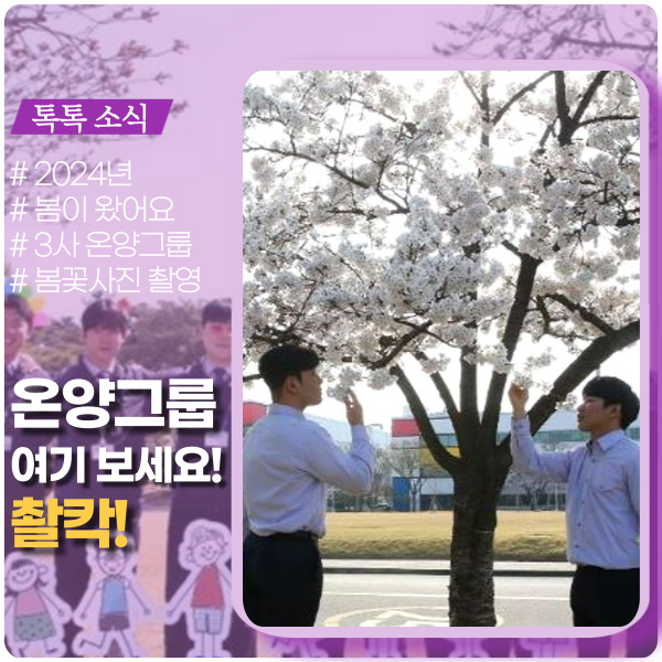 온양 벚꽃 명소는? NanoCity온양캠퍼스 온양 벚꽃 명소는? NanoCity온양캠퍼스