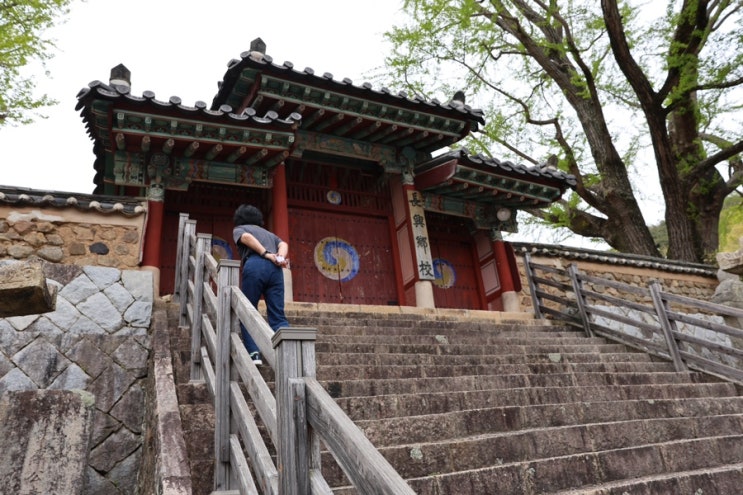  장흥 가볼만한곳, 장흥향교, 450년된 은행나무가 예쁜곳