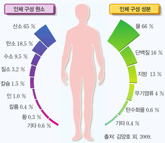  생명과학 2 - 생명체의 구성