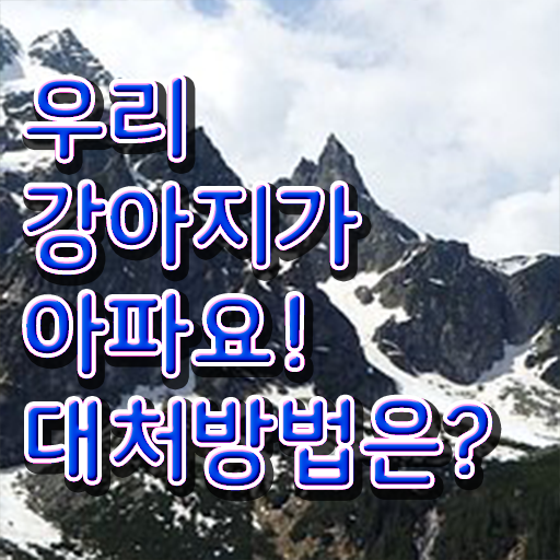  반려동물관리학 , 반려동물관리사 자격증 간단하게 합격한 팁 핵심 공개