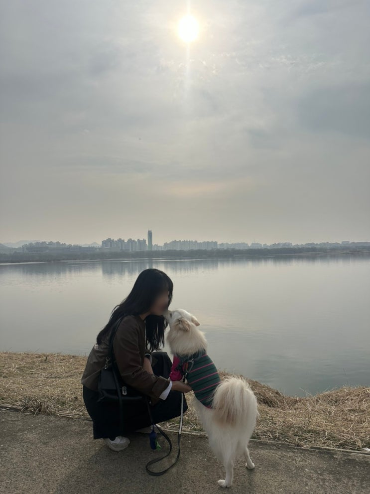  2024년 3월 일상기록ㅣ양양, 횡성 호숫길, 양평, 두물머리