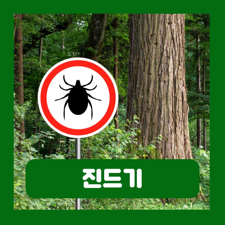  중증열성혈소판감소증후군 SFTS 쯔쯔가무시 증상 차이