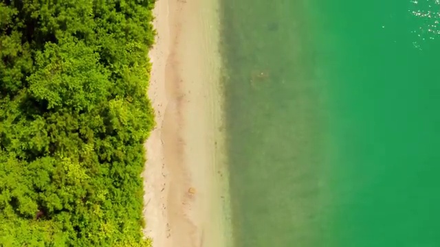  대구반려동물장례 , 반려동물관리사 자격증 쉽고 빠르게 취득한 방법 및 구인구직 채용 관련