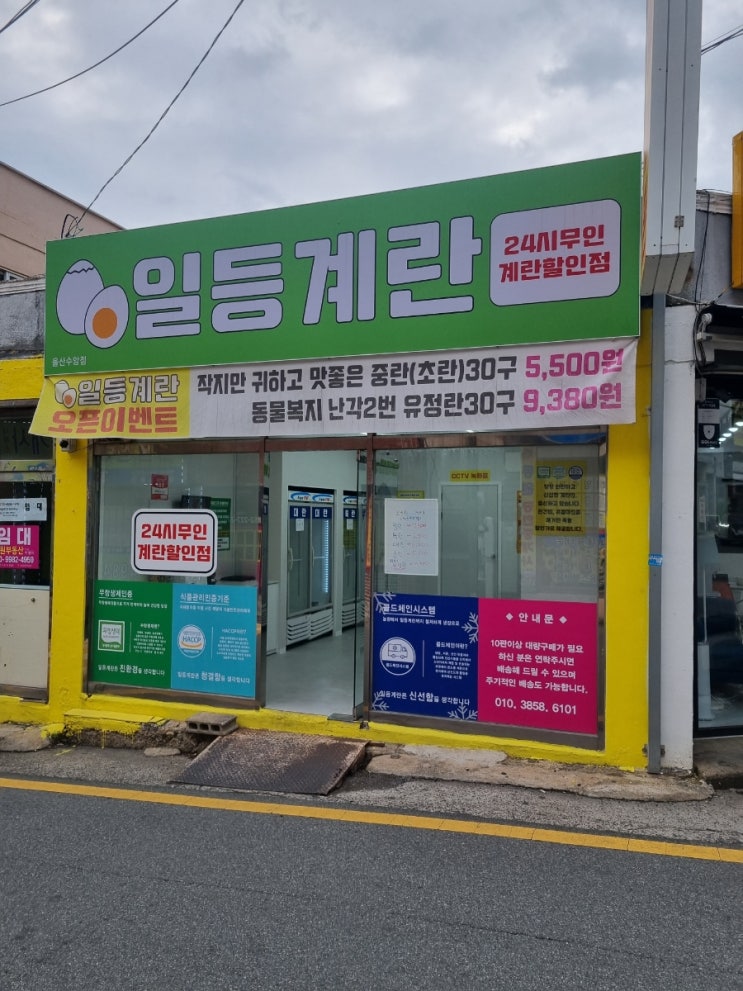  무인계란할인점 일등계란 무인판매점