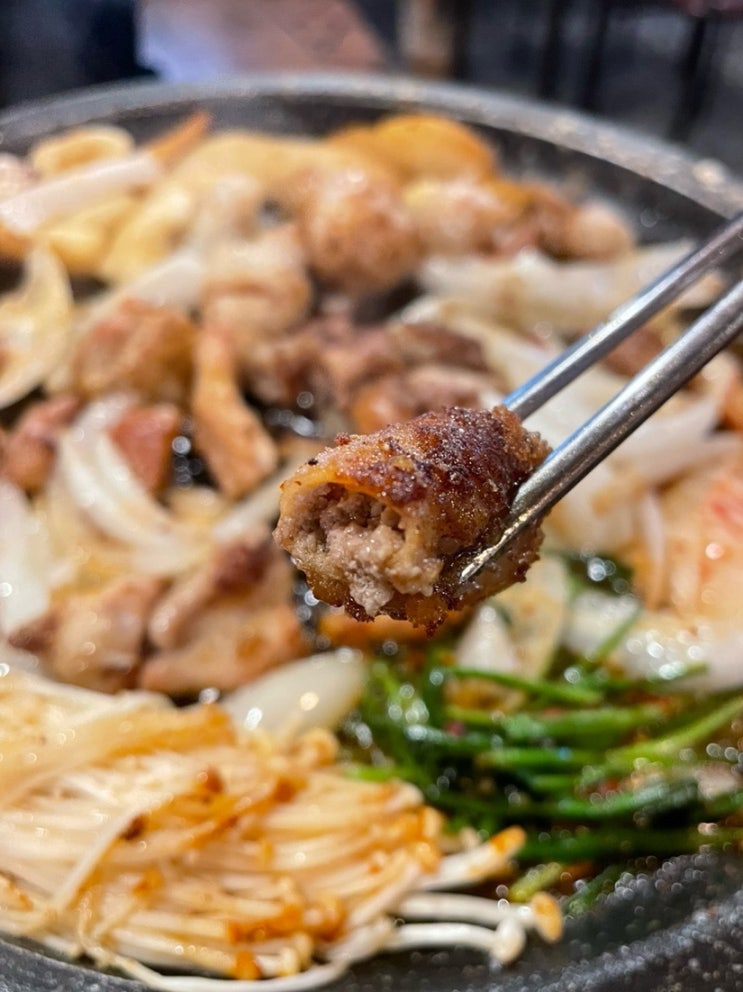  옵소 소 곱창 맛집 방문 후기 경희대 회기역 술집 추천