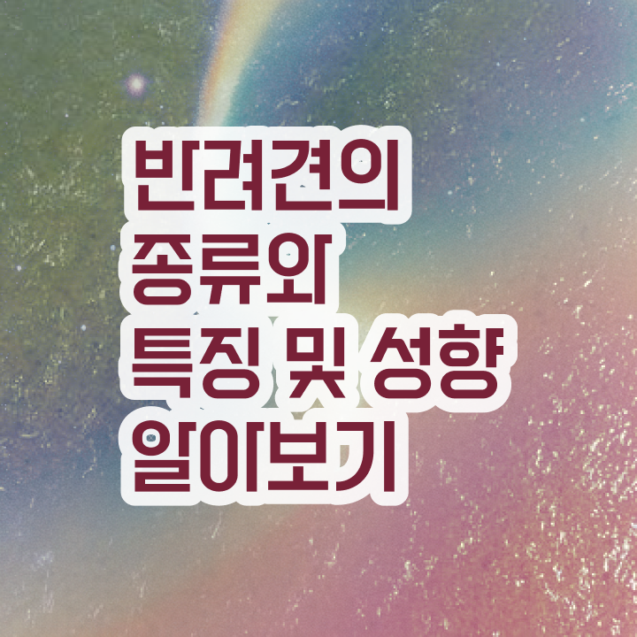  반려동물 자격증 무료 과정 , 반려동물관리사 자격증 20일 만에 합격한 후기 정리해드립니다