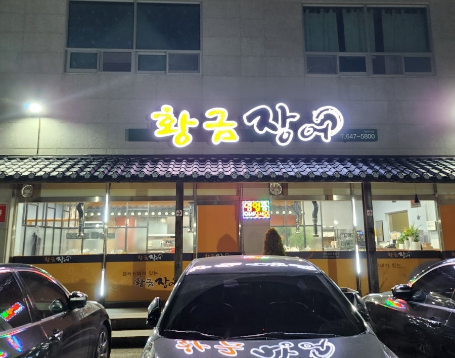 황금장어 사진 1