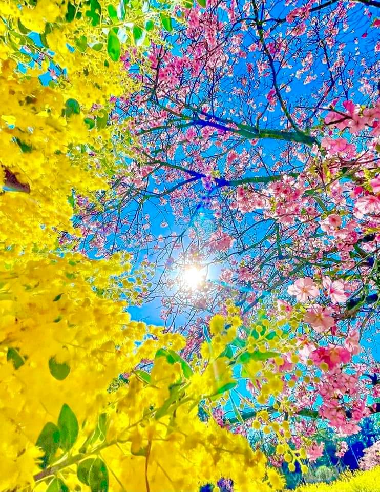   오늘의 생활정보 (2024-04-23, 화)