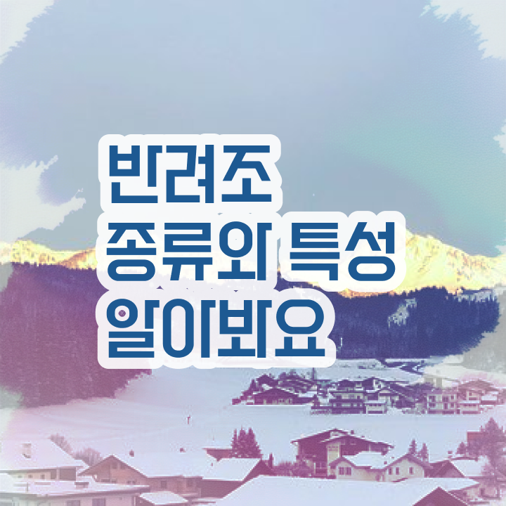  코뉴어 앵무새 수명 , 반려조관리사 자격증 2주 만에 취득했던 후기 , 커리어 활용 방안