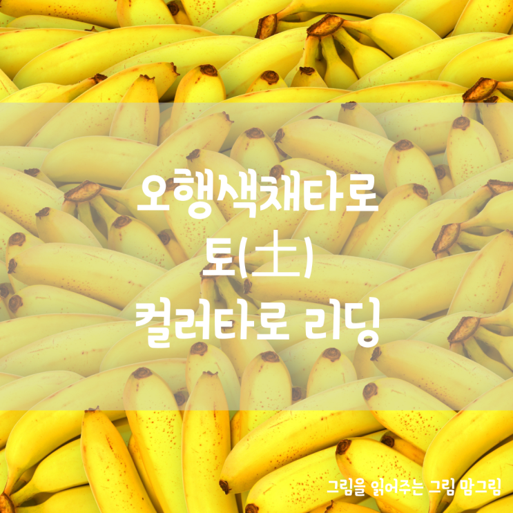  오행 색채타로 토(土)컬러타로리딩 중용