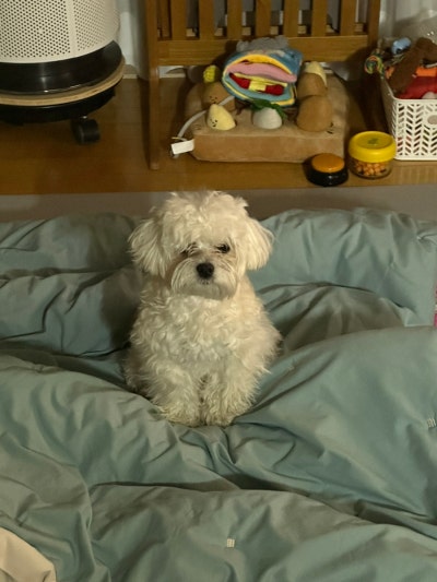 사진 7