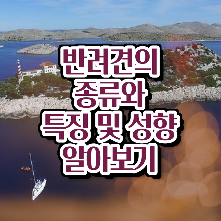  대구반려동물장례 , 반려동물관리사 자격증 합격한 팁 확인