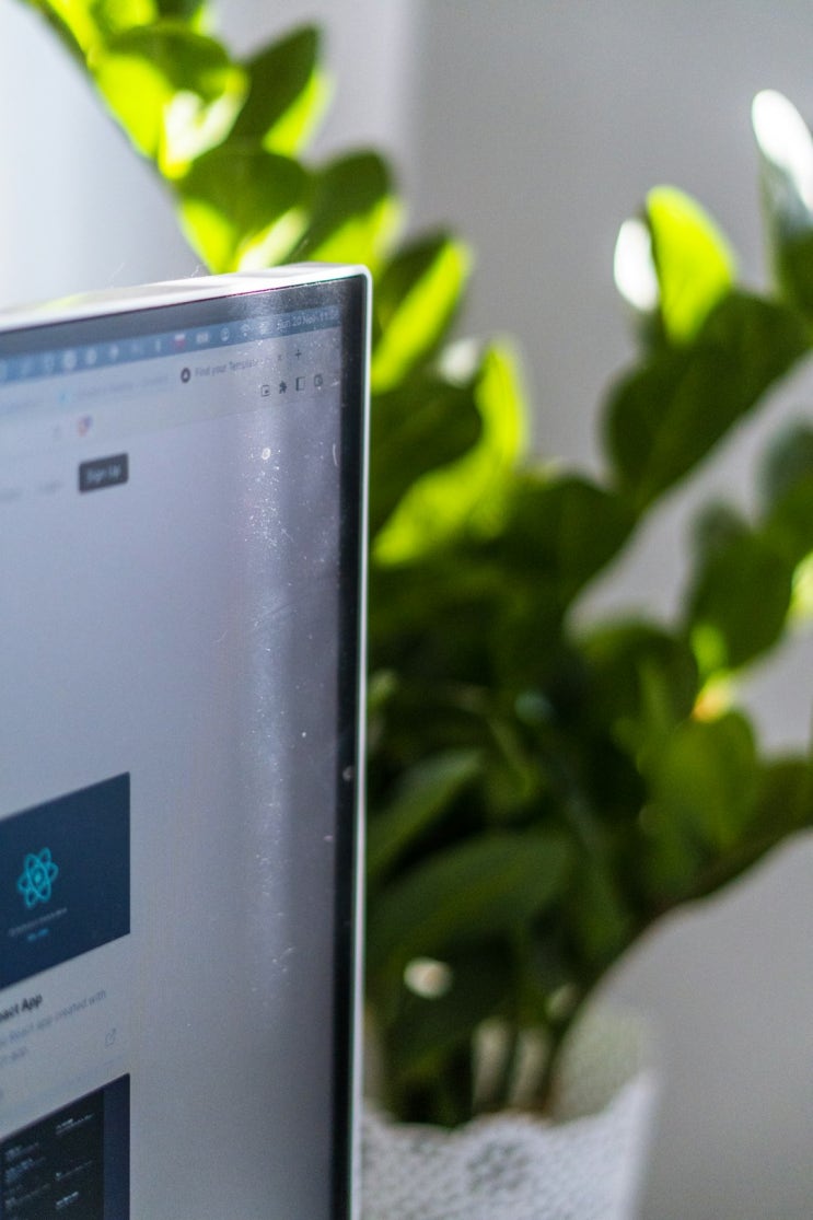  [NextJS] /app 아래의 page.tsx 와 layout.tsx 의 차이점