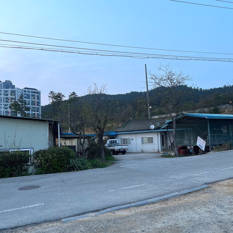 정골 사진 2