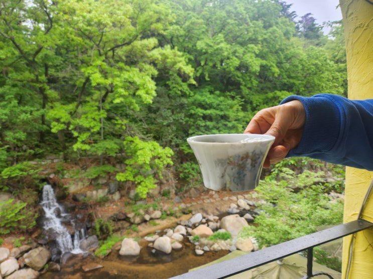  [부산/금정] 범어사 계곡 보며 힐링, 커피 맛은... 카페 '로얄갤러리' (내돈내산)