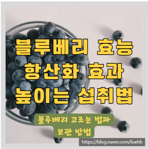  블루베리의 효능과 효과, 안토시아닌을 포함한 영양성분들과 좋은 블루베리 고르는 법, 건강하게 먹는 법