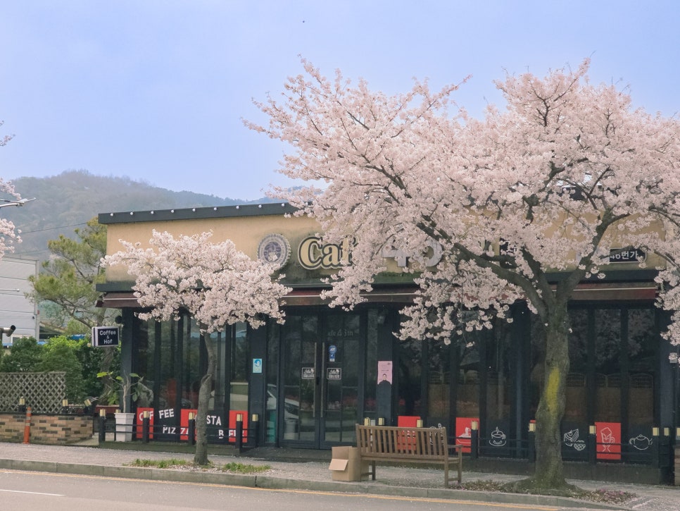 46번가 사진 2