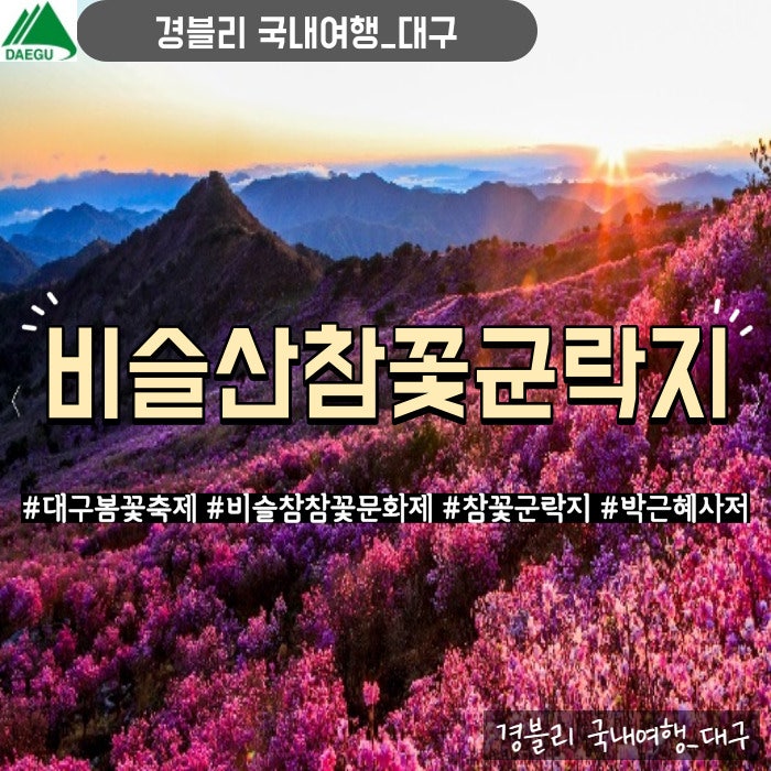  대구비슬산참꽃문화제 운무가 가득해서 아쉬운 참꽃군락지 개화상황 등산 후기 (Feat. 박근혜 사저)