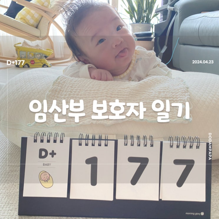 가상의 도담이보다 못먹는 도담이 D+177 가상의 도담이보다 못먹는 도담이 D+177