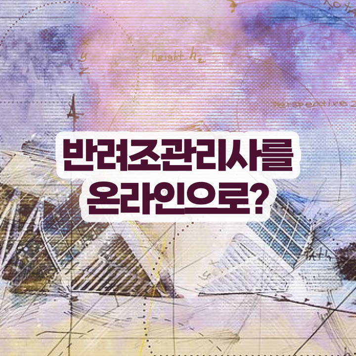  퀘이커 앵무새 , 반려조관리사 자격증 무료인강 정리해드립니다