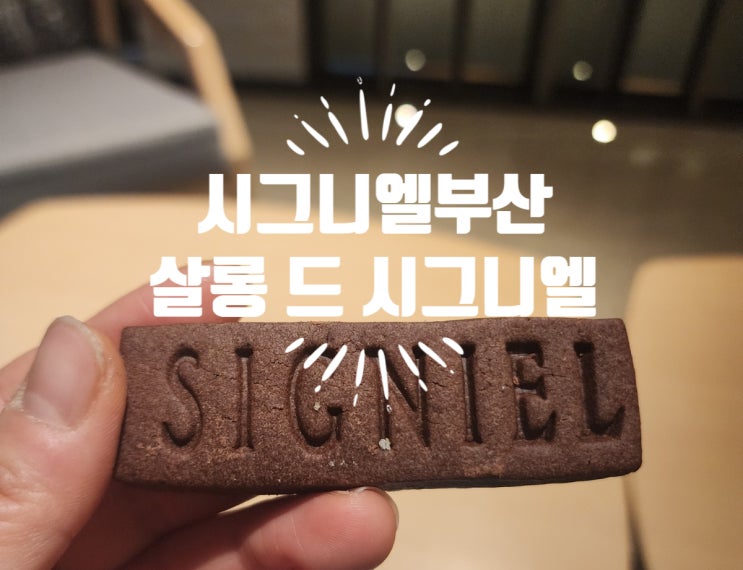  부산 시그니엘 살롱드시그니엘 라운지 수영장 (2)