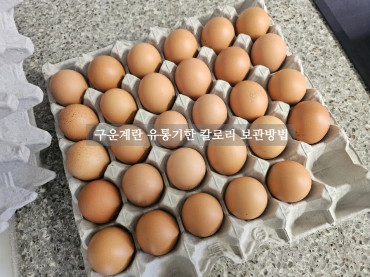  구운계란 유통기한 알아보며 칼로리와 보관법 체크