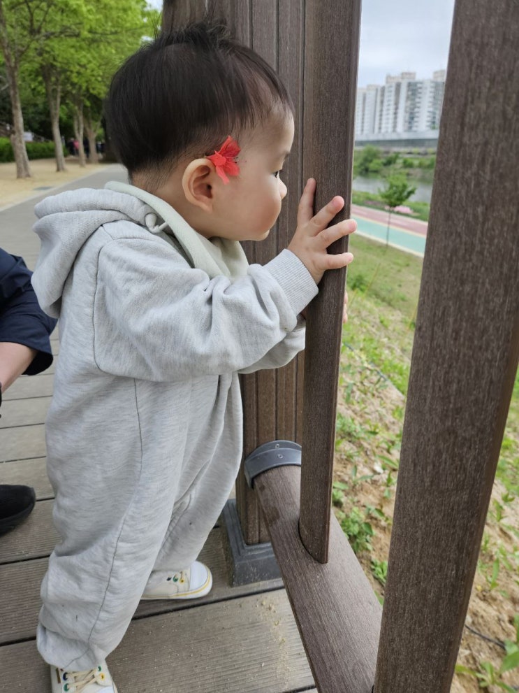  봄꽃