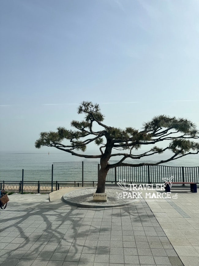 방일해장국 동해1호점 사진 4