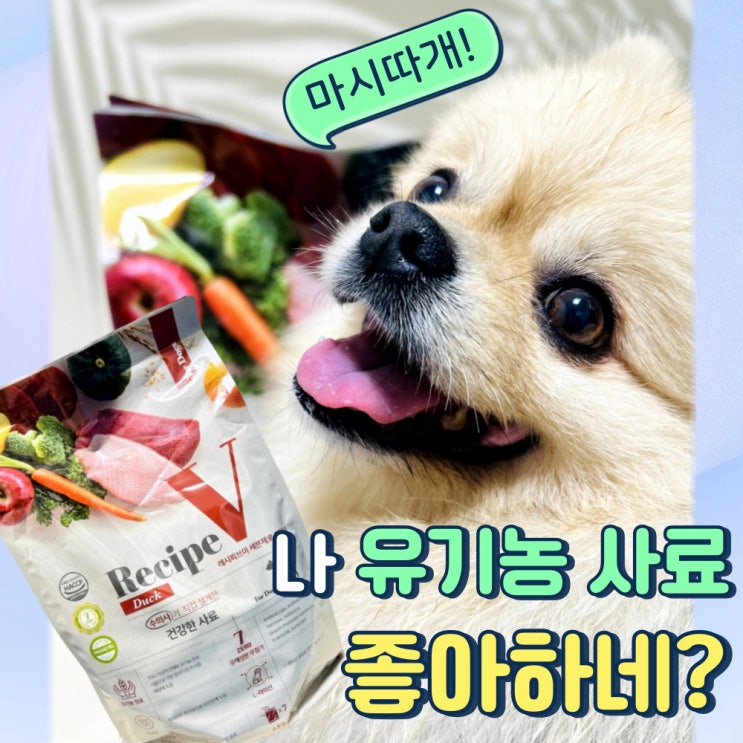  유한양행에서 나온 강아지 유기농 오리고기 사료 급여 솔직 후기(Recipe V 세븐제로 강아지 D)