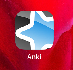  JLPT N3 25일컷 공부법(feat. Anki)