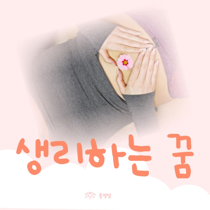 생리 꿈(생리가 많은 꿈, 생리새는 꿈, 생리 묻는 꿈, 생리 쏟아지는 꿈 등) - 서울 불광천변 [....