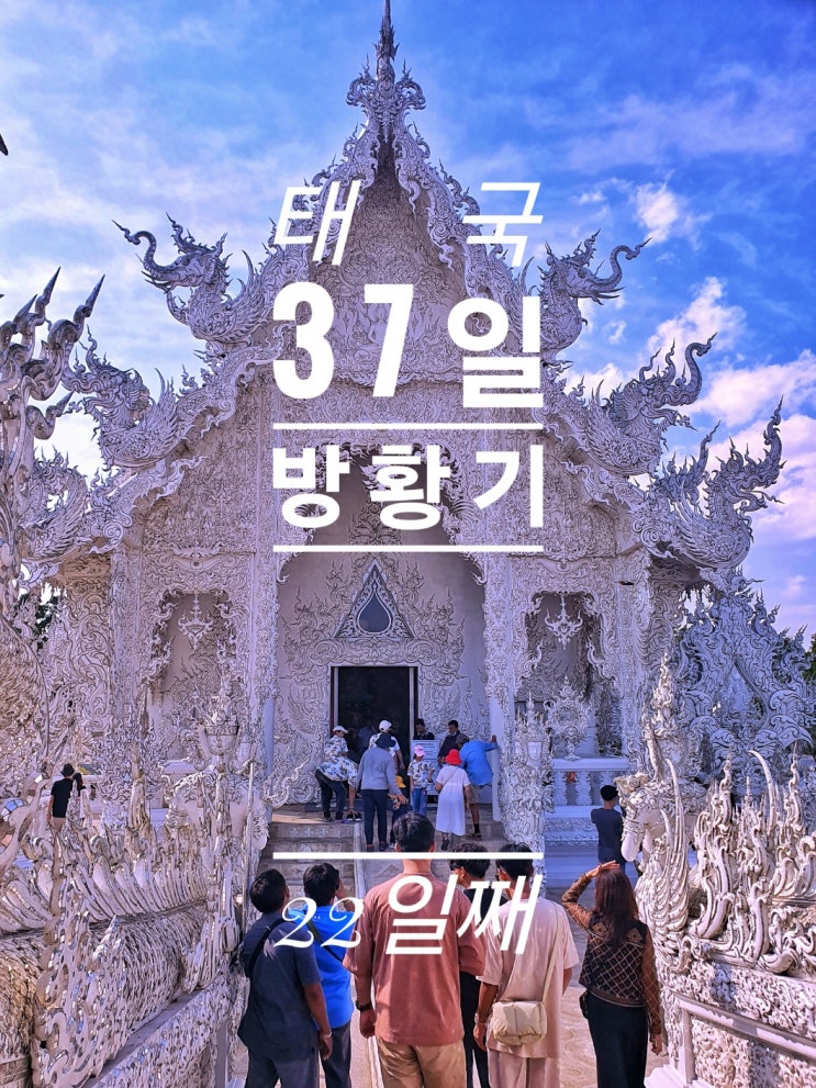  [태국 37일간의 방황기] 22일째 백색 사원 CAT 'n' A CUP Cat Cafe 고양이 카페 케이팝 코리안 레스토랑 Palal Roti Pisang 로띠맛집