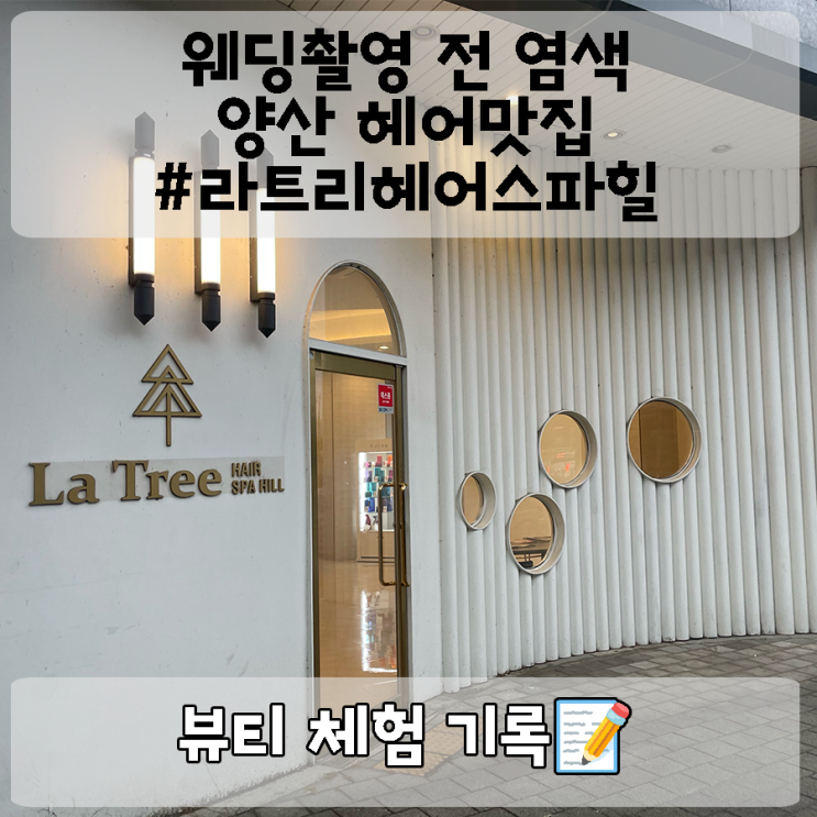  양산 사송미용실 라트리헤어 스파힐 본점에서의 환상적인 헤어 변신기 : 결혼준비 염색