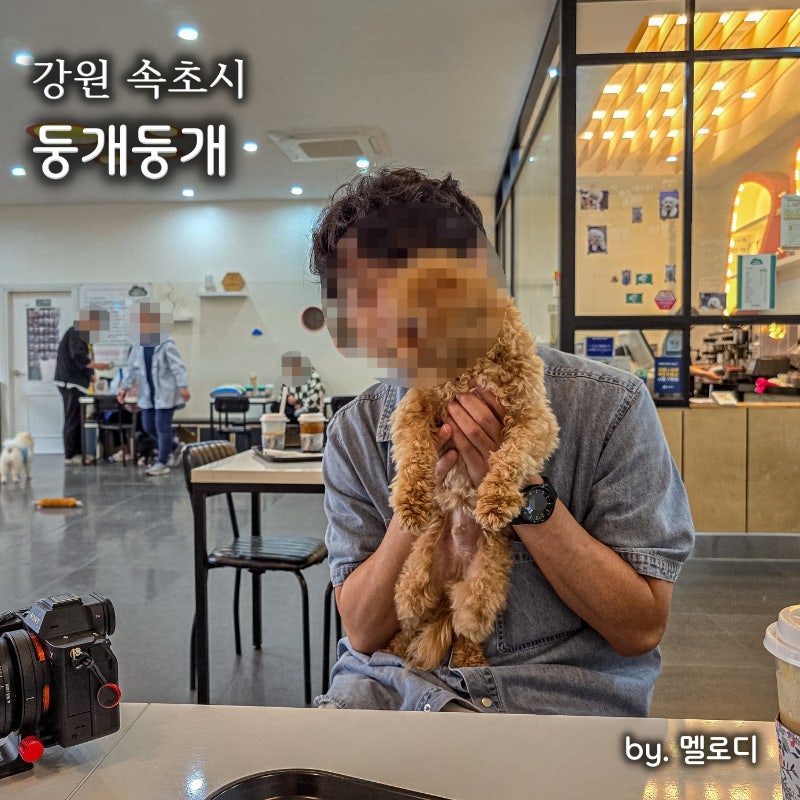 둥개둥개