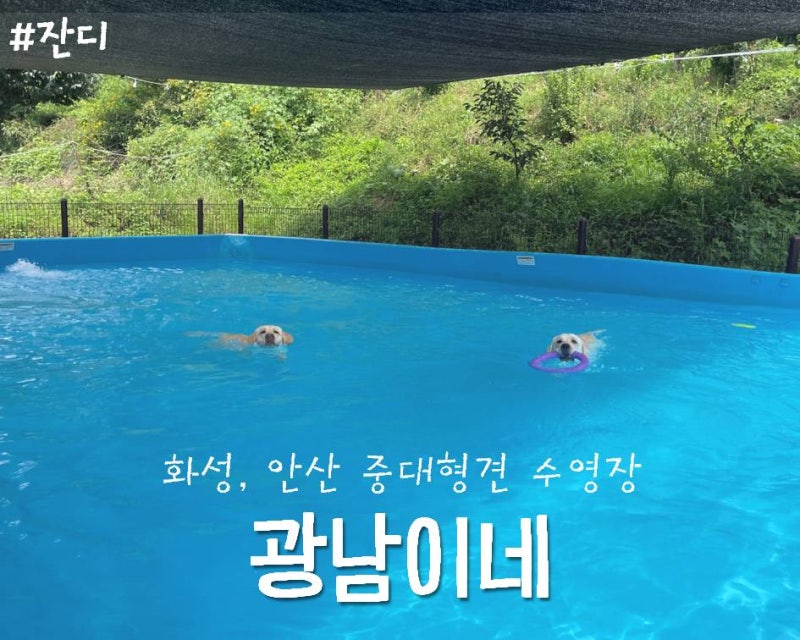 사진 3