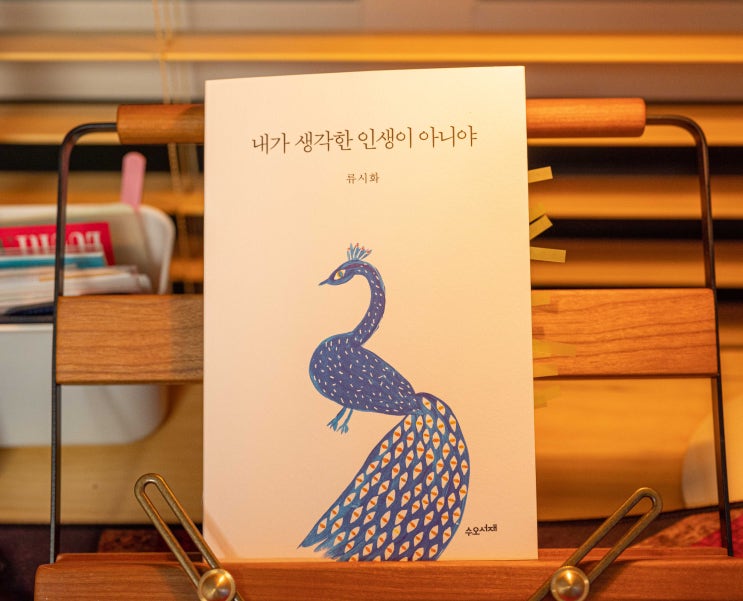  내가 생각한 인생이 아니야 - 류시화 책리뷰 도서리뷰