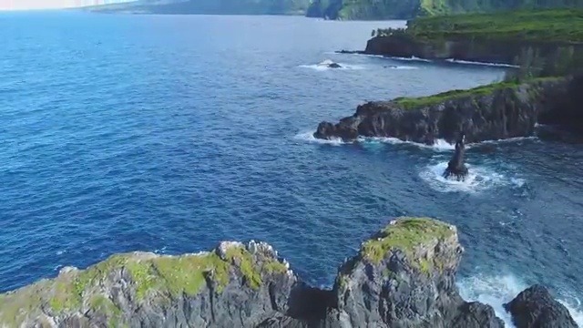  화훼장식산업기사 준비기간 화훼장식산업기사 시험응시조건 관련학과 아니어도 인강으로 간단하게 달성시킨 노하우