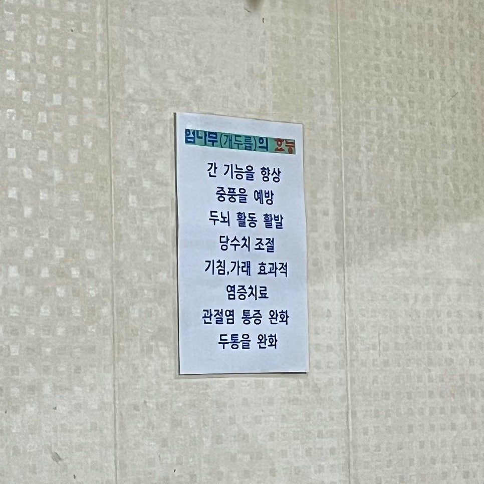 정골 사진 6