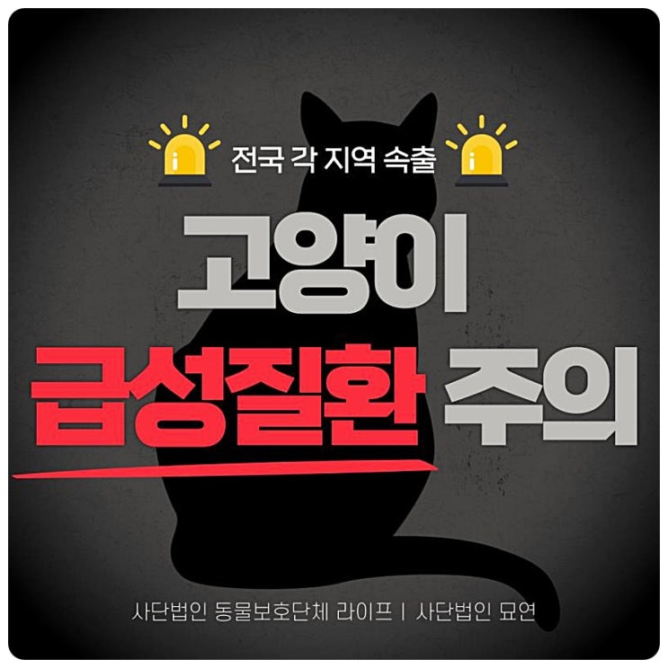  고양이 원인불명 질병 확산에 동물보호단체 라이프 공통점인 볼드모트 사료 의심
