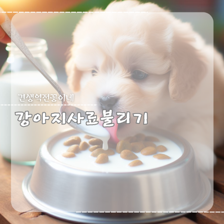  새끼 강아지사료 불리기 방법 시기 강아지 사료양