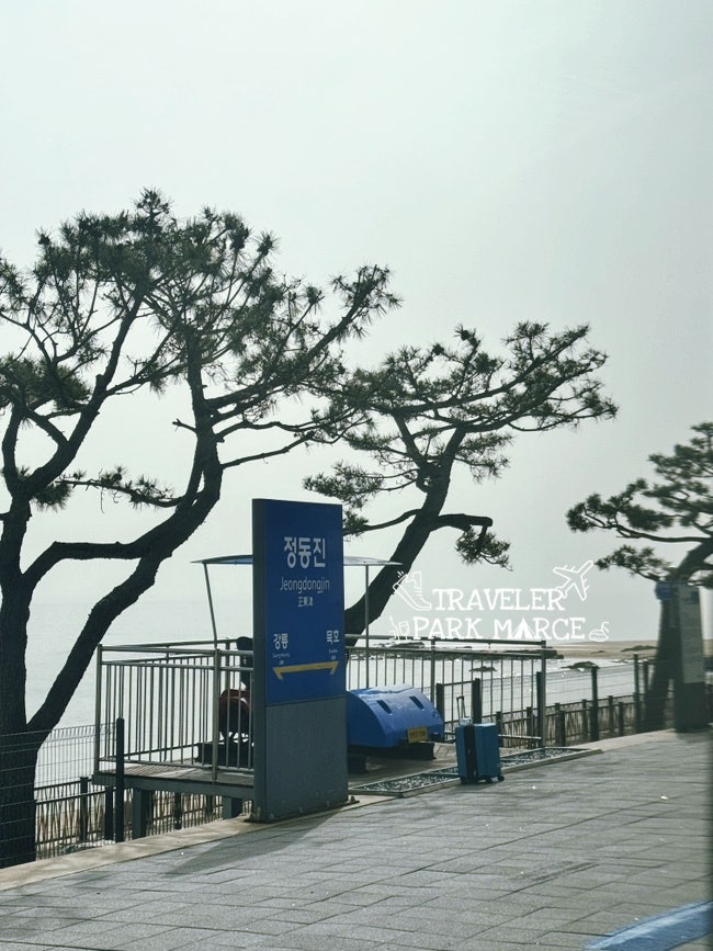 방일해장국 동해1호점 사진 3