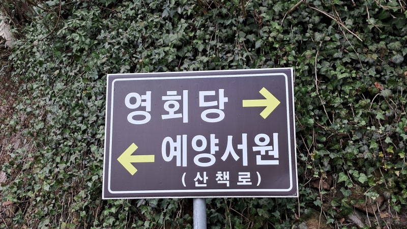 사진 6