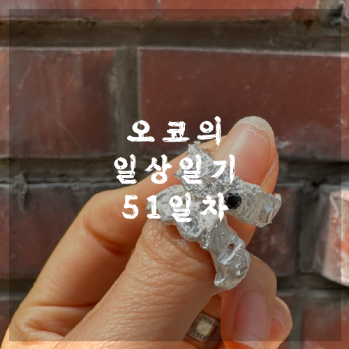 오코의 100일 일상일기 DAY 51 한의원다녀오고 힘빠짐