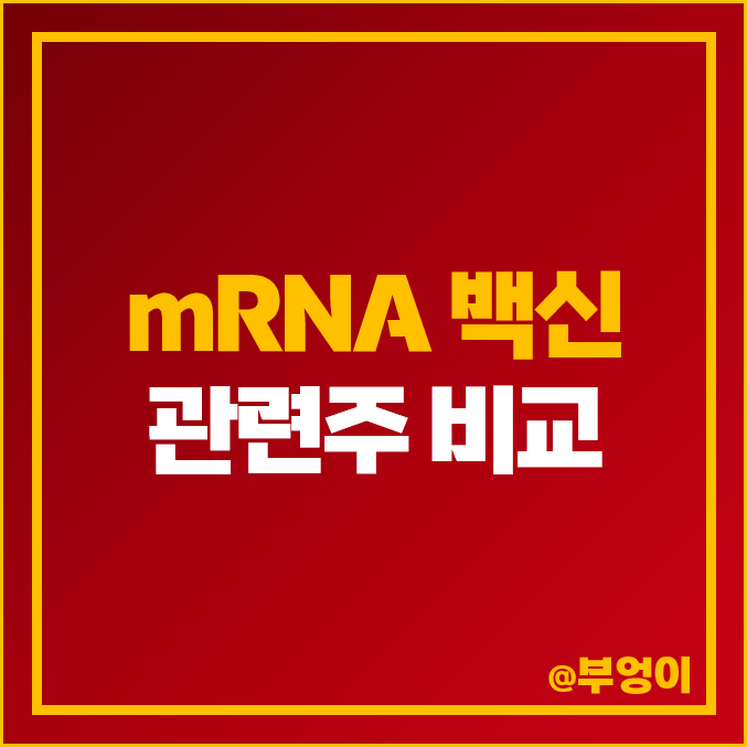 mRNA 백신 관련주 올릭스 에스티팜 주식 엔지켐생명과학 주가 파미셀 피씨엘