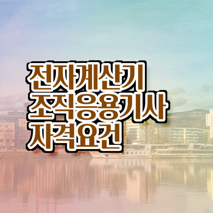  전자계산기조직응용기사 응시자격 서류 전자계산기조직응용기사 응시자격 실무경력 없어도 인강으로 4달만에 달성시킨 팁