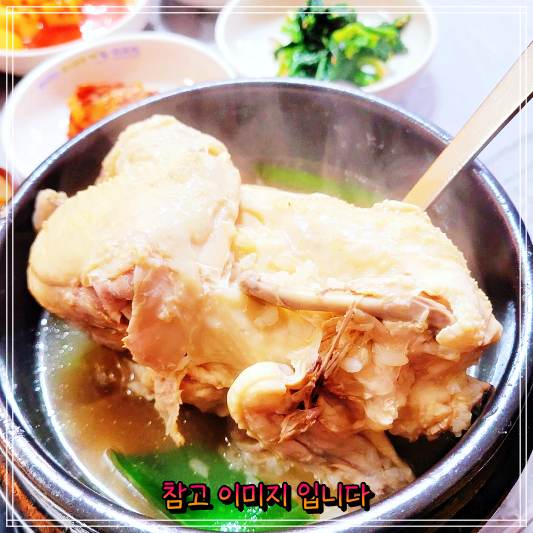  생방송오늘저녁 : 함안 칠서 아라정 가마솥토종닭백숙 맛집과 삼계탕 닭볶음탕 맛집 추천!
