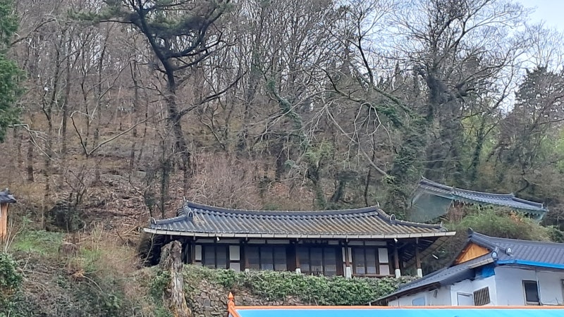 사진 7