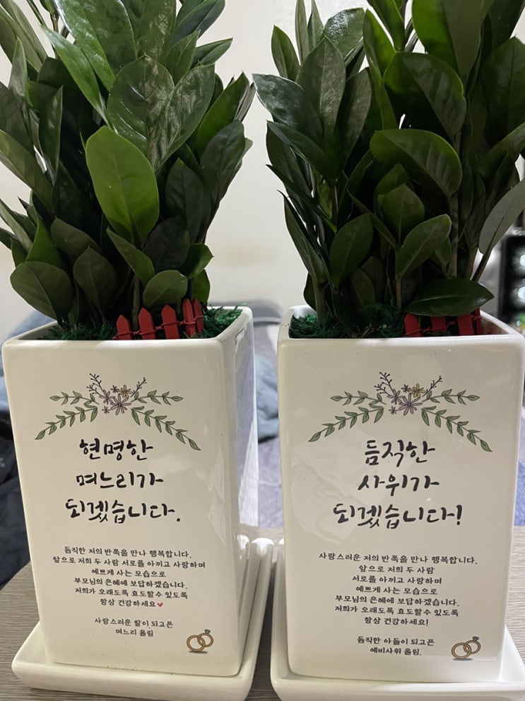  W4 경기 광주 상견례 퇴촌 식당 <예전 한정식> 상견례 선물(대화, 옷차림, 조카 선물)